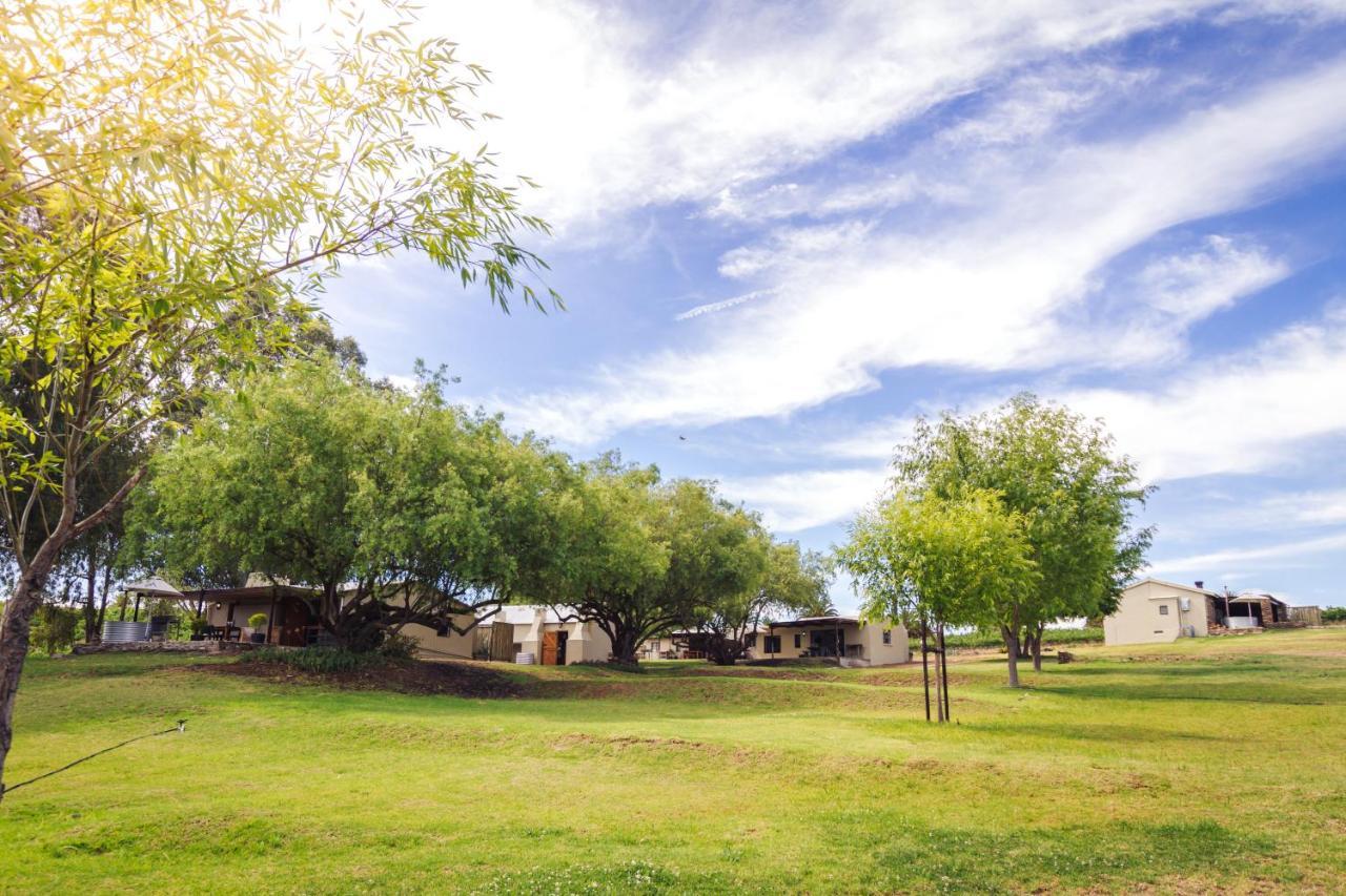Arendsig Wine Estate & Cottages Бонивейл Екстериор снимка