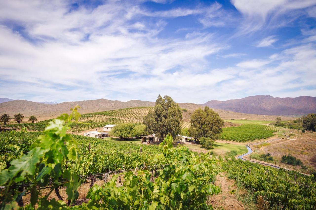 Arendsig Wine Estate & Cottages Бонивейл Екстериор снимка