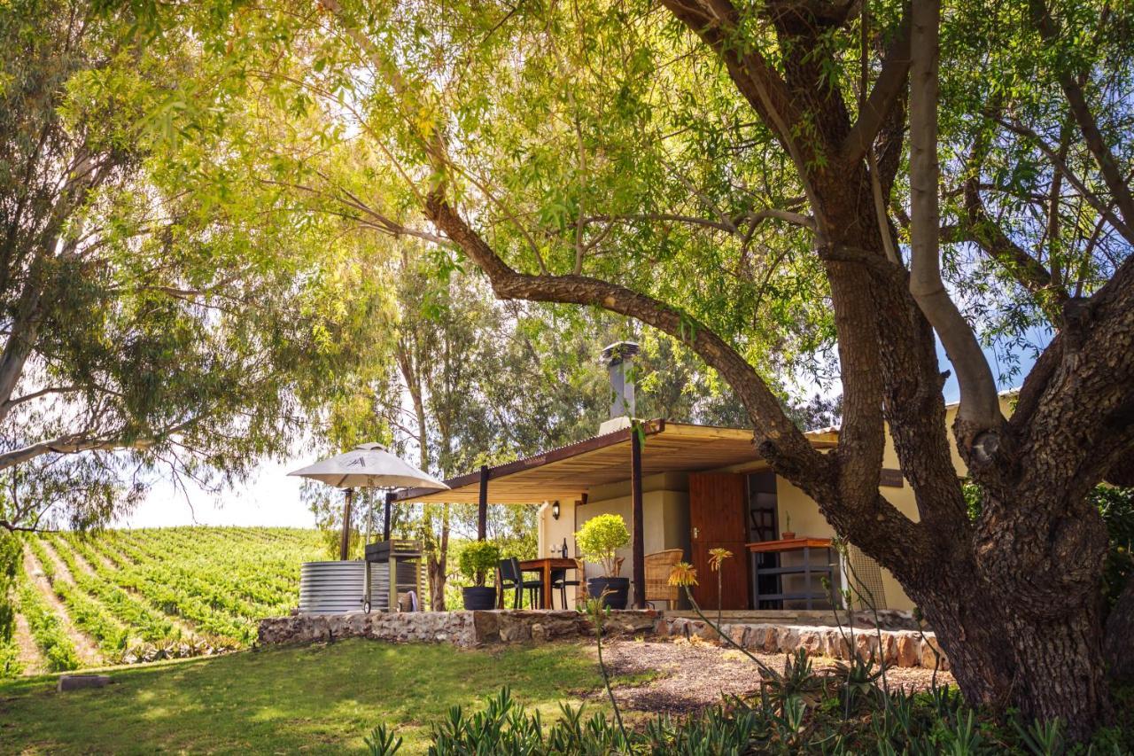 Arendsig Wine Estate & Cottages Бонивейл Екстериор снимка