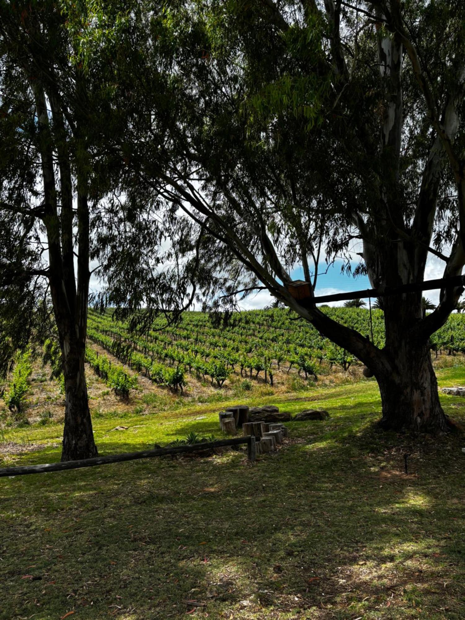 Arendsig Wine Estate & Cottages Бонивейл Екстериор снимка
